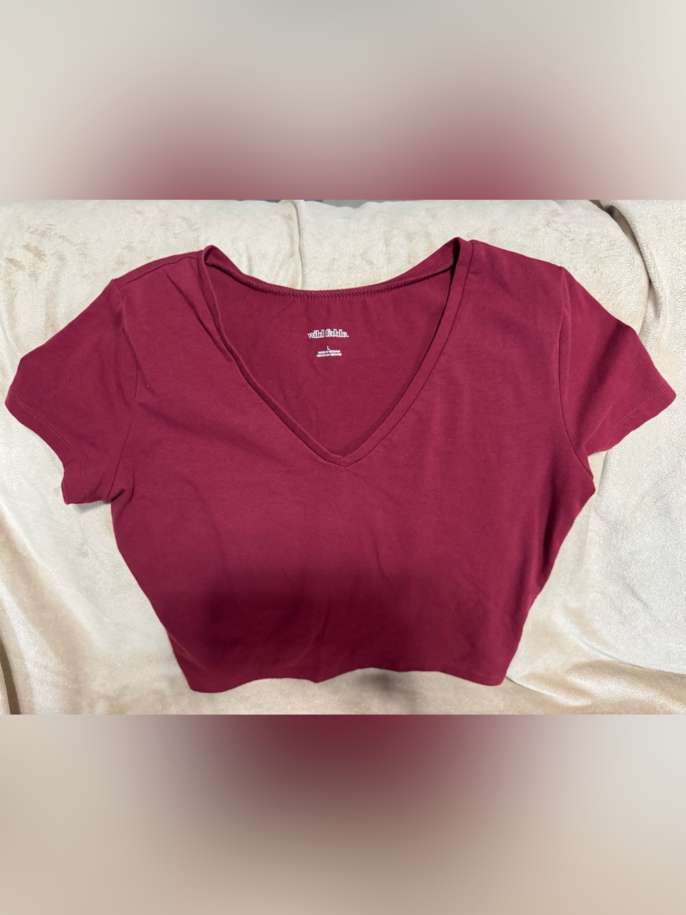 wild fable Women's V-Neck Tee in Burgundy